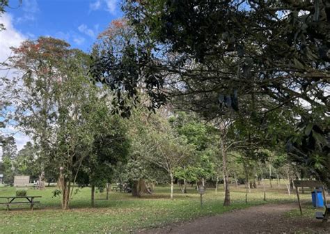 Descubra El Parque Del Este En Costa Rica