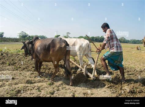 One Way Plough Hi Res Stock Photography And Images Alamy