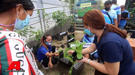 Denr Inilunsad ‘community Pan Tree Sa Marikina Abante Tnt