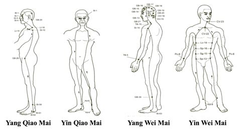 16 Point Meridian Activation Of The Qi Jing Ba Mai