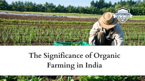 The Significance Of Organic Farming In India Upsc Environment Best