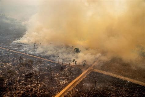 Effects of deforestation on humans and the environment