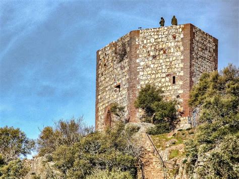 Lo Mejor Que Ver Y Hacer En Monfrag E Extremadura En D As