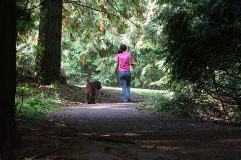 The 13 Best Fenced Off Leash Dog Parks In The Portland Area Mapped