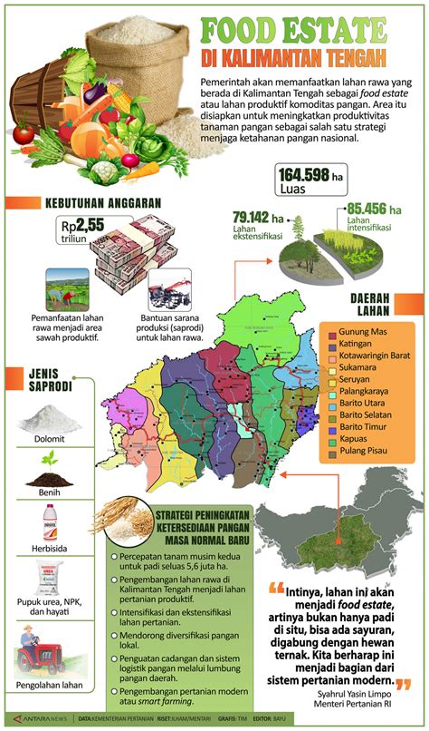 Pemerintah Mengembangkan Lahan Rawa Di Kalteng Menjadi Food Estate