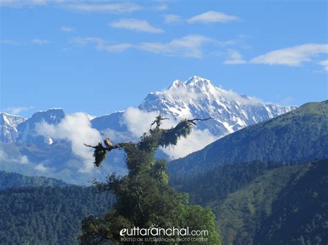 Bhagirathi River and Bhagirathi Peaks - Uttarakhand Photos