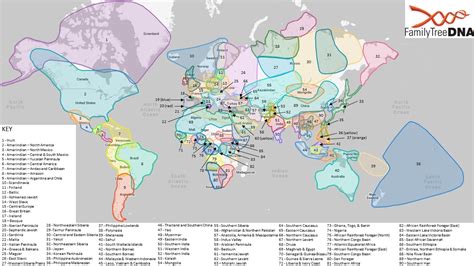 Population Clusters – Help | FamilyTreeDNA