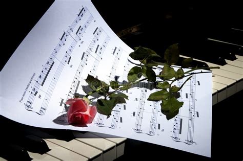 Sheet Music With Rose Piano Stock Image - Image: 20819441