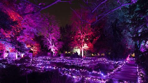 Naturaleza Encendida El Espect Culo De Luces Imprescindible De Madrid