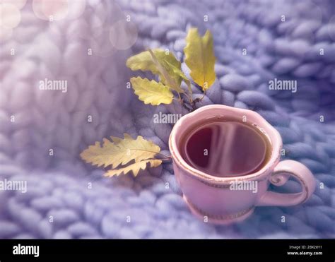 Giant Tea Cup Hi Res Stock Photography And Images Alamy