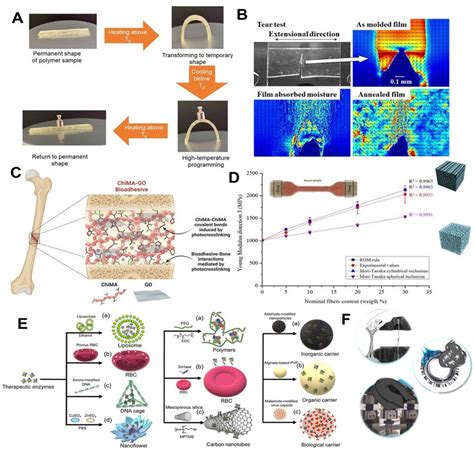 A Scheme Of Shape Memory Characteristics Of The Bio Based Polymers