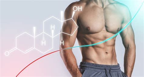 Síntomas De La Testosterona Baja Cuando Falta La Hormona Más Vital