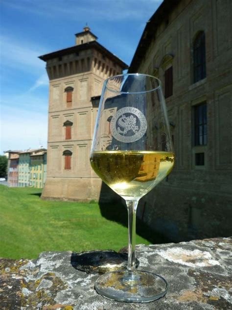 Emilia Wine Experience Il Territorio E I Suoi Prodotti Raccontano Le