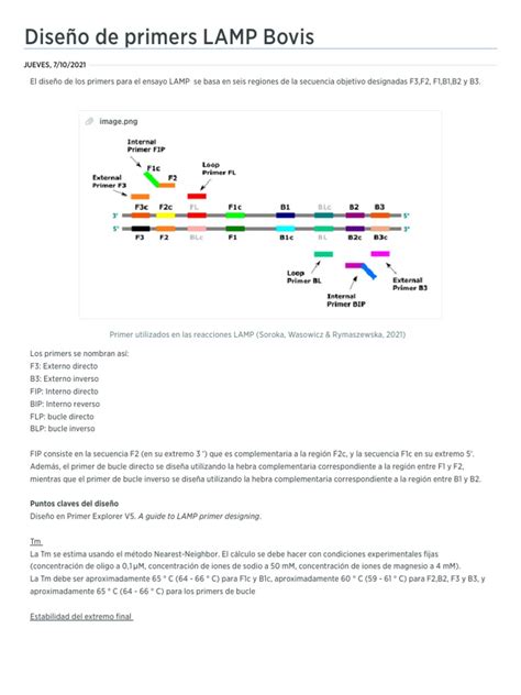 01 Ensayo De Primers Pdf Primer Biología Molecular Macromoléculas