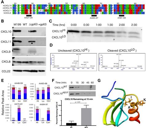 Pathogen Evasion Of Chemokine Response Through Suppression Of Cxcl10