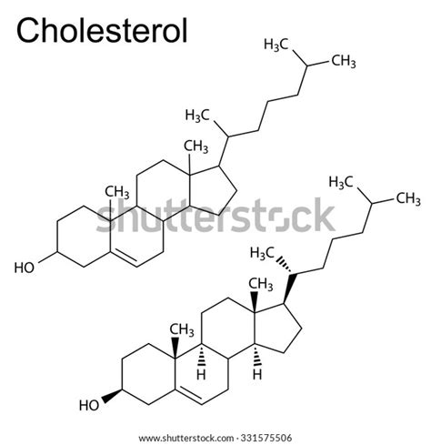 Structural Chemical Formulas Cholesterol Molecule 2d Stock Vector