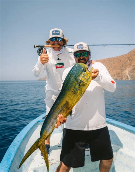 Bajas Best Kept Secret Fly Fishing In Cabo San Lucas Tag Cabo