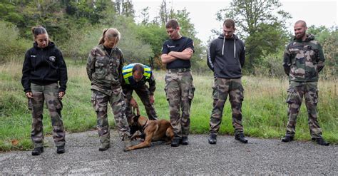 En Images Des Chiens De La Gendarmerie Au Flair Expert En Exercice