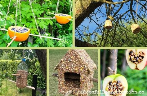 Homemade Bird Feeders Kids Can Make Blissful Domestication