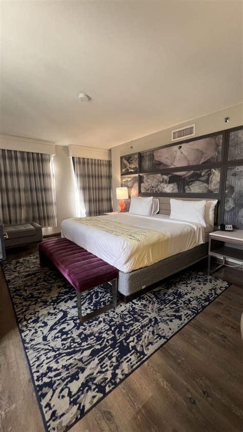 Hotel Indigo Birmingham Five Points S Uab Updated January 2025 48 Photos And 55 Reviews