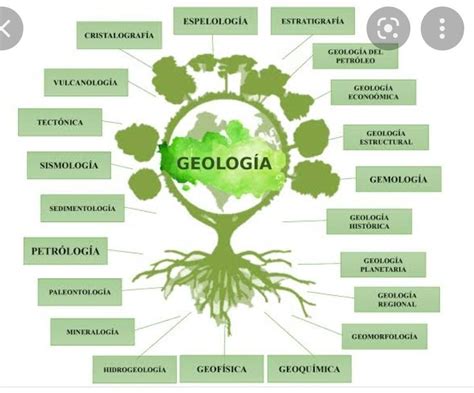 Un esquema sobre la geología histórica Brainly lat