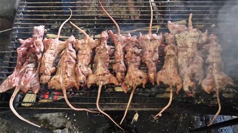 Leckere Gegrillte Ratten Delikatesse Thai Street Food YouTube