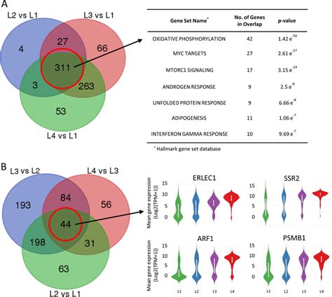 Differential Expression Genes And Associated Pathways With Mm