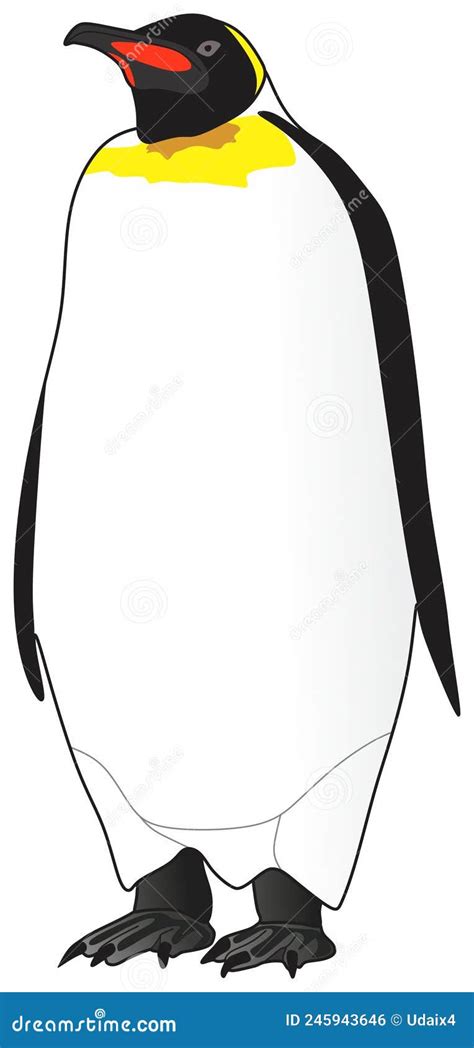 Desenho Do Vetor Animal Pinguim Em Pé Sobre Fundo Branco Isolado