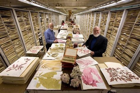 A View Inside Hidden Smithsonian S Archives Shows The Incredible