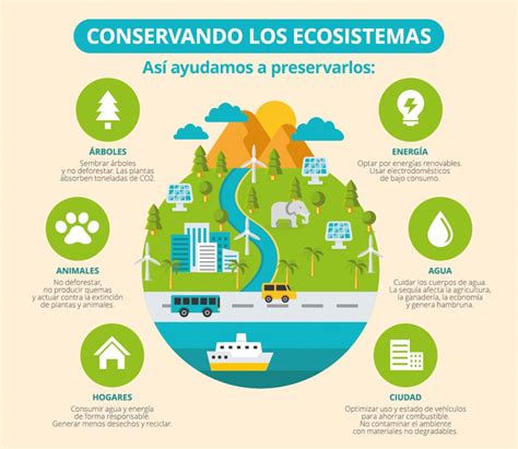 Servicios Ambientales Del Ecosistema Para Los Humanos Mapa Conceptual