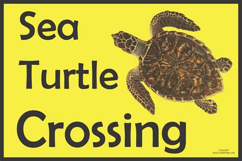 FREE Turtle Crossing Signs