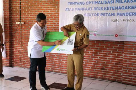 Penderes Nira Di Kulon Progo Meninggal Dunia Jatuh Dari Pohon Kelapa