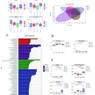 Supplementation Of Symbiotics Altered The Gut Microbiota Composition