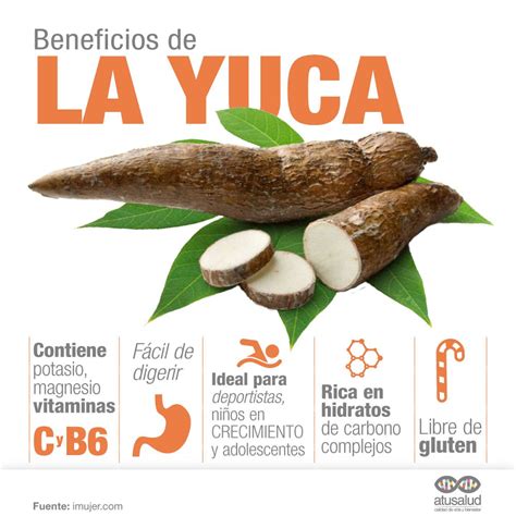 Ra Ces Y Tub Rculos Aspectos Nutricionales Nutripediatria