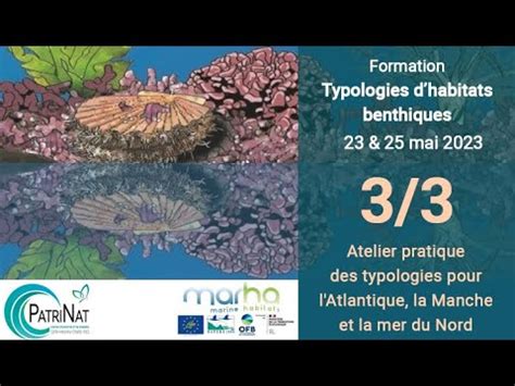 3 3 Typologies D Habitats Benthiques Atelier Pratique Pour L