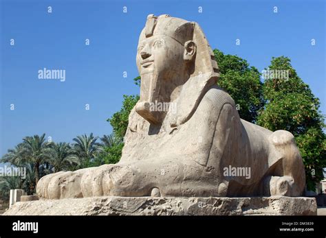 África Oriente Medio Egipto El Cairo Ramsés II la estatua Memphis