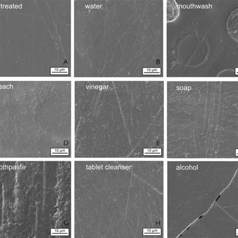 Scanning Electron Micrographs Of Specimen Surfaces After Soaking And