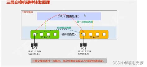 网络：vlan与三层交换机路由转发经过cpu处理嘛 Csdn博客