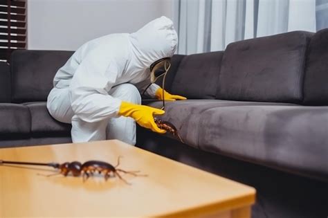 Control Kill Pest Termite Cockroach Sofa Exterminator Pesticide Insect