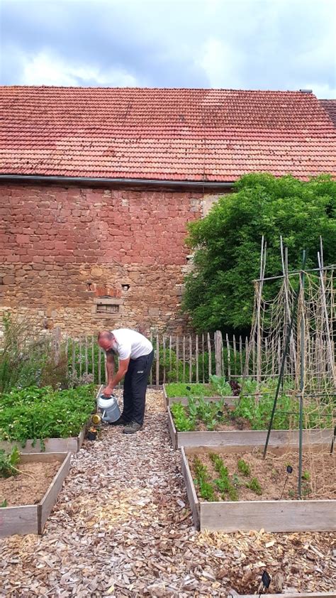 Gartenarbeit Im Juni Eine To Do Liste Wildes Gartenherz