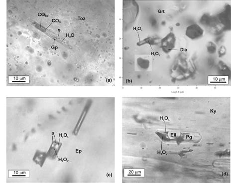 Photomicrographs Of Primary Fluid Inclusions Fi In Eclogite Facies