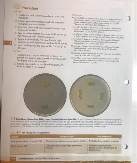 Selective And Differential Media Assignment Worksheet Chegg