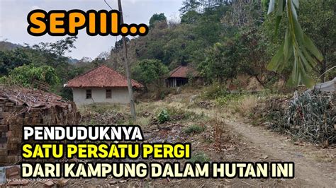 Sepii Satu Persatu Penduduknya Pergi Dari Kampung Dalam Hutan Ini