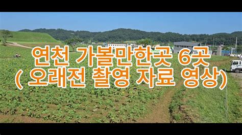 호로고루 해바라기 등 연천여행 명소 풍경들 Youtube