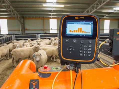 Gallagher Weigh Scale TW-1 Indicator | Cattle and Livestock Scales | Gallagher Electric Fencing ...