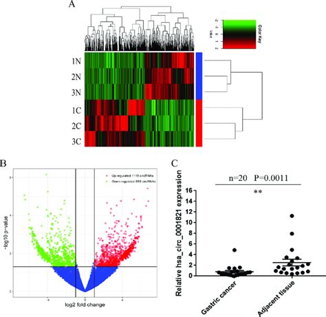 Identification Of Deregulated Circular Rnas Circrnas In Gastric