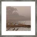 Florida Everglades Wood Storks Photograph by Juergen Roth | Fine Art ...