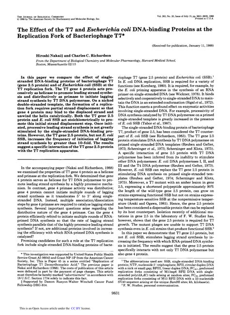 Pdf The Effect Of The T7 And Escherichia Coli Dna Binding Proteins At The Replication Fork Of