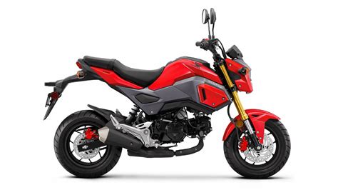 Honda Msx125 Grom 2018 Std Bike Photos Overdrive