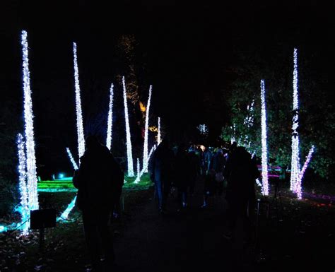 Christmas at Kew Gardens, a magical experience - A mum in London ...